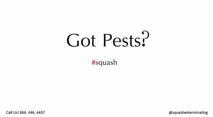 Why DIY pest control is bad news… | Squash Exterminating